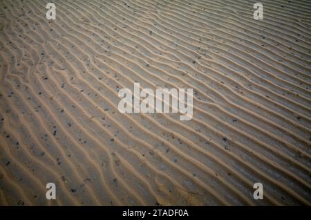 Sand kräuselt, wellige Linien im Sand. Lugworm (Arenicola Marina), Lugworm Pile, Wattenmeer, Munkmarsch, Nordseeinsel Sylt, Nordfriesland Stockfoto