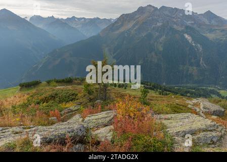 Penken, Penkenjoch (2.095 m), Finkenberg Gemeinde, Zillertaler Alpen, Tuxtal, Tirol, Österreich Stockfoto