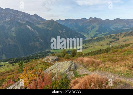 Penken, Penkenjoch (2.095 m), Finkenberg Gemeinde, Zillertaler Alpen, Tuxtal, Tirol, Österreich Stockfoto