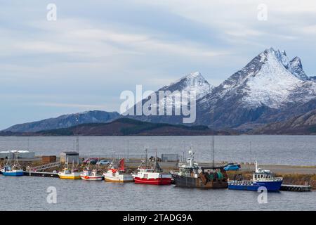 Fischerboote Trawler Schiffe im Hafen von Sandnessjoen, Norwegen, Skandinavien, Europa im Oktober Stockfoto