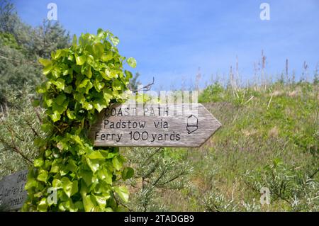 Mit Ivy bedeckte hölzerne Wegweiser zur River Camel Ferry Crossing von Rock nach Padstow auf dem South West Coastal Path in Cornwall, England, Großbritannien. Stockfoto