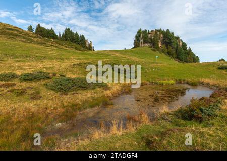 Penken, Penkenjoch (2.095 m), Finkenberg Gemeinde, Zillertaler Alpen, Tuxtal, Tirol, Österreich Stockfoto