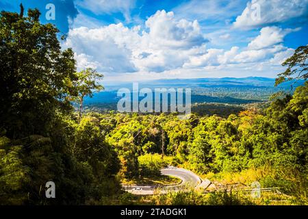 Hochwinkel-Panoramaaufnahme einer gekrümmten Asphaltstraße, die durch einen dichten tropischen Dschungel unter einem hellen, bewölkten blauen Himmel führt. Stockfoto