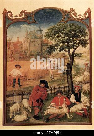 Grimani Breviary: Der Monat Juli 1510 von Gerard Horenbout Stockfoto