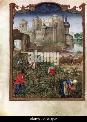 Grimani Breviary: The Month of September 1510s von Gerard Horenbout Stockfoto