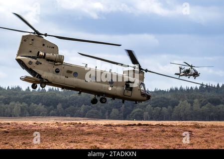 Boeing CH-47F Chinook Hubschrauber startet aus einer Landezone unter Deckung von einem AH-64D Apache Angriffshubschrauber. Ginkelse Heide, Niederlande - Stockfoto
