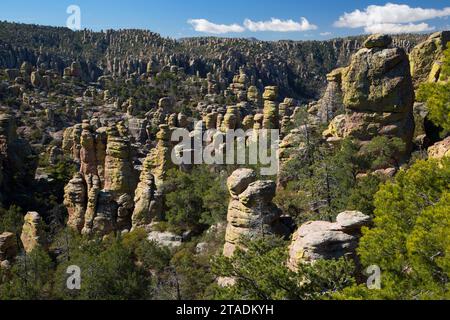 Rock-Zinnen von Echo Canyon Loop Trail, Chiricahua National Monument, Arizona Stockfoto