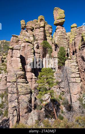 Rock-Zinnen von Echo Canyon Loop Trail, Chiricahua National Monument, Arizona Stockfoto