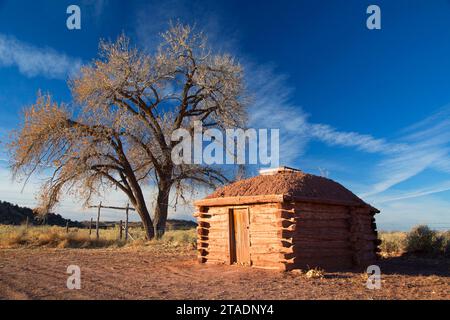 Hogan, Hubbell Trading Post National Historic Site, Arizona Stockfoto