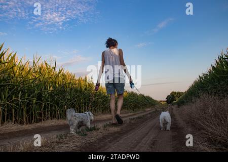 Junge Frau, die mit zwei Hunden in der Natur auf einer kleinen Landstraße läuft Stockfoto