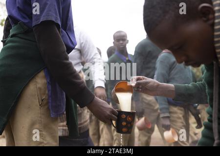 Tansania, Region Arusha, IrmisigyoTansania, Region Arusha, IrmisigyoVerteilung von Nahrungsmitteln an Schulkinder die NGO Kopelion finanziert eine Mittagsmahlzeit für Kinder in der Schule, wenn die Gemeinde sich bereit erklärt, mit einem Löwen auf ihrem Territorium zu leben eine der Möglichkeiten zur Förderung des Zusammenlebens (zusätzlich zu Schutzmaßnahmen) Stockfoto