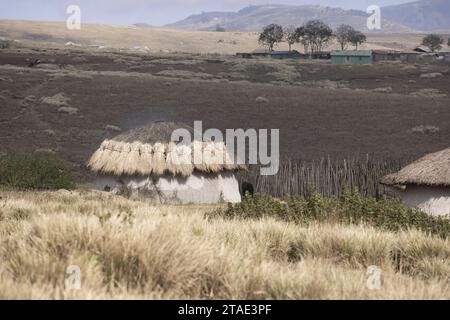 Tansania, Region Arusha, Dorf Malanja Massai, ein Haus, dessen Dach durch neues Stroh ersetzt wurde Stockfoto