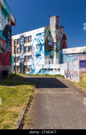 Frankreich, Allier, Lurcy-Lévis, Street Art City, dieses ehemalige Ausbildungszentrum für France Telecom ist zu einer künstlerischen Residenz geworden, die sich der städtischen Bildkunst widmet, einem Werk von Crey Stockfoto