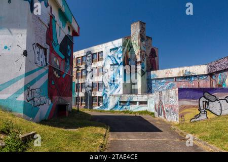 Frankreich, Allier, Lurcy-Lévis, Street Art City, dieses ehemalige Ausbildungszentrum für France Telecom ist zu einer künstlerischen Residenz geworden, die sich der städtischen Bildkunst widmet, einem Werk von Crey Stockfoto
