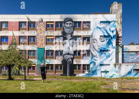 Frankreich, Allier, Lurcy-Lévis, Street Art City, dieses ehemalige Ausbildungszentrum für France Telecom ist zu einer künstlerischen Residenz geworden, die sich der städtischen Bildkunst widmet, von links nach rechts Werke von Depose, Aero, Simple G Stockfoto