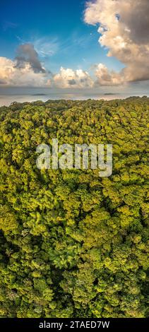 Frankreich, Französisch-Guayana, Rémire-Montjoly, Panoramablick über den Wanderweg Rorota, mit dem Atlantischen Ozean und den Inselchen La Mère und Rémire im Hintergrund (Luftaufnahme) Stockfoto