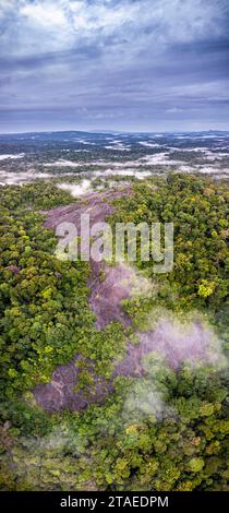 Frankreich, Französisch-Guayana, Saint-Georges, Wanderung im Nationalwald Régina zum Savane-roche Virginie inselberg, der einzigen von der Küste aus zugänglich, Panoramablick auf den Inselberg aus der Vogelperspektive (aus der Vogelperspektive) Stockfoto