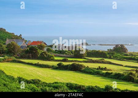 Frankreich, Manche, Cotentin, Gemeinde La Hague, Auderville, Ortsteil La Roche Stockfoto