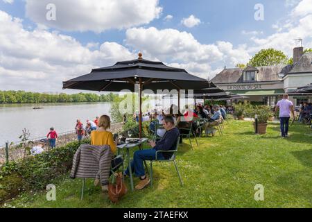 Frankreich, Maine et Loire, Loire-Tal, das von der UNESCO zum Weltkulturerbe erklärt wurde, Le Thoureil, Bootsfest, Terrasse des Restaurants La Route du Sel Stockfoto