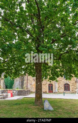 Frankreich, Manche, Cotentin, Bricquebec, Innenhof der mittelalterlichen Burg Stockfoto