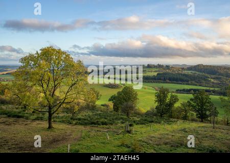 Panoramaaufnahme der Landschaft im Vulkan Eifel, Rheinland-Pfalz, Deutschland Stockfoto