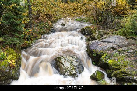 Panoramaaufnahme der Landschaft im Vulkan Eifel, Rheinland-Pfalz, Deutschland Stockfoto