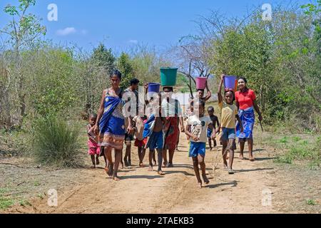 Madagassische Frauen und Kinder mit Eimern Wasser auf dem Kopf gehen vom Fluss zurück zum Dorf Ambotomisay, Menabe, Central Highlands, Madagaskar Stockfoto