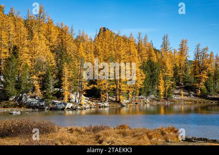 WA23848-00...WASHINGTON - Herbst am Ufer des Cooney Lake im Okanogan National Forest. Stockfoto