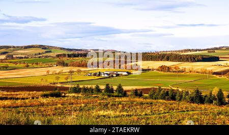 Wunderschöne Wintersonne mit spektakulärem Blick auf die Sidlaw Hills und das Strathmore Valley in der Nähe von Dundee, Schottland Stockfoto