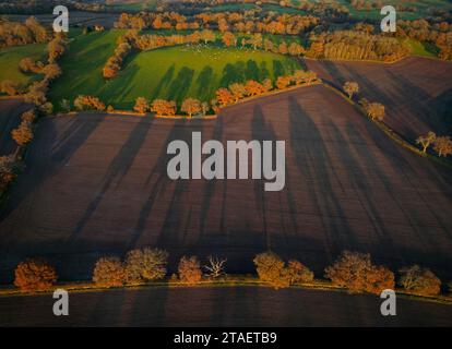 Lange Schatten, die von der Wintersonne auf Bäume und Felder in der Landschaft von Worcestershire, England, geworfen werden. Drohne von einem qualifizierten Bediener gesteuert. Stockfoto