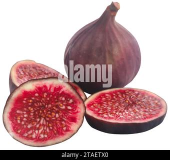 Frische Bio-Feigen, in Scheiben geschnitten und ganz Stockfoto