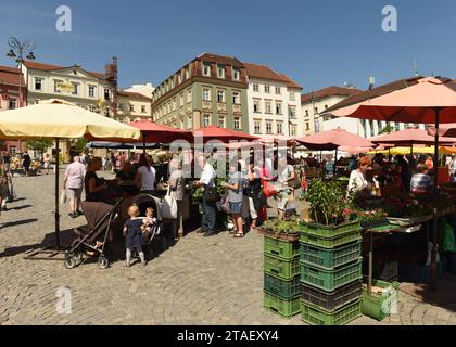 Brünn, Tschechische Republik - 01. Juni 2017: Kohlemarkt in Brünn, Tschechische Republik. Stockfoto