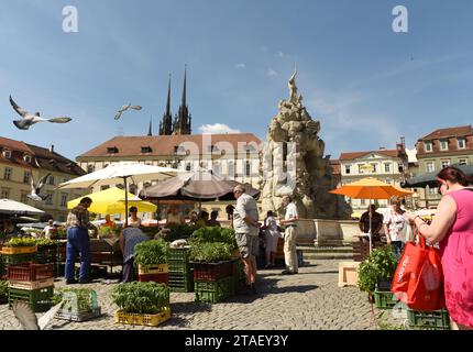 Brünn, Tschechische Republik - 01. Juni 2017: Kohlemarkt in Brünn, Tschechische Republik. Stockfoto