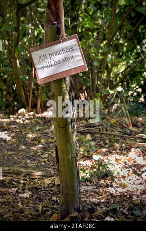 Humeröses Warnzeichen im privaten Wald Stockfoto