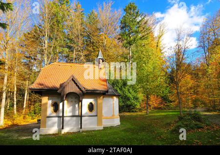 Hubertuskapelle im herbstlichen Wald bei Oberschönenfeld im Naturpark Augsburger Westwälder, Bayern, Deutschland, Europa Stockfoto