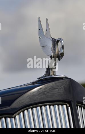 Oldtimer packard Super Acht amerikanischer Oldtimer Stockfoto