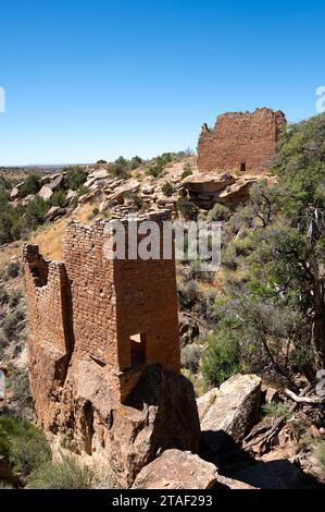 Der Holly Tower wurde auf einem Felsbrocken in der Holly Unit am Hovenweep National Monument errichtet. Stockfoto