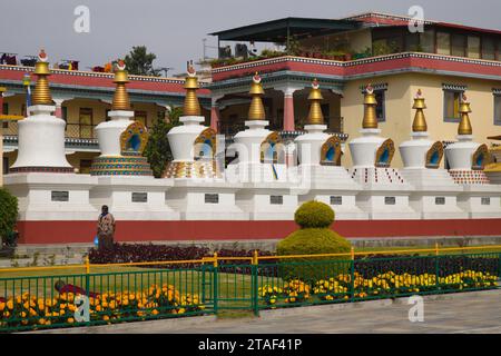 Nepal, Kathmandu-Tal, Bodhnath, Shechen Tengyi Dargyeling Gompa, tibetisch-buddhistisches Kloster, Stockfoto