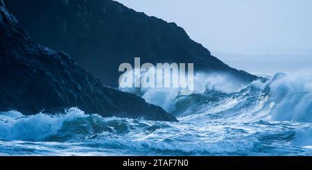 Ozeanwellen stürzen in der Nähe von Waikiki Beach im Cape Desenttäument State Park in Washington auf Felsen. Stockfoto