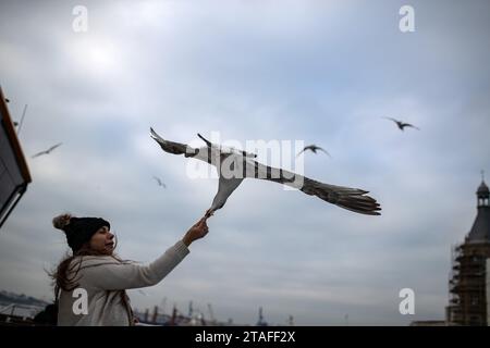 Istanbul, Türkei. November 2023 30. Ein Passagier füttert eine Möwe, indem er das Essen auf der Terrasse der Fähre der Stadt in Istanbul in der Hand hält. Quelle: SOPA Images Limited/Alamy Live News Stockfoto