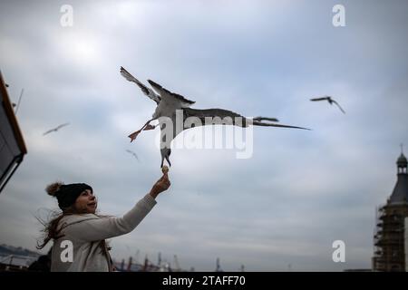 Istanbul, Türkei. November 2023 30. Ein Passagier füttert eine Möwe, indem er das Essen auf der Terrasse der Fähre der Stadt in Istanbul in der Hand hält. (Foto: Onur Dogman/SOPA Images/SIPA USA) Credit: SIPA USA/Alamy Live News Stockfoto