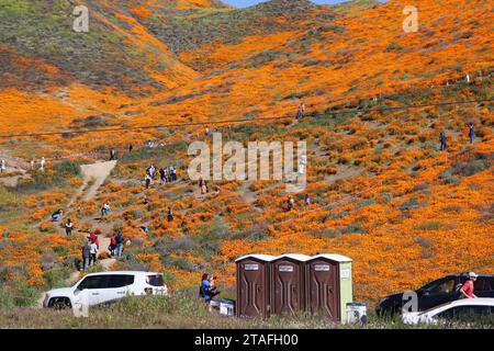 Menschenmassen im California Super Bloom Stockfoto