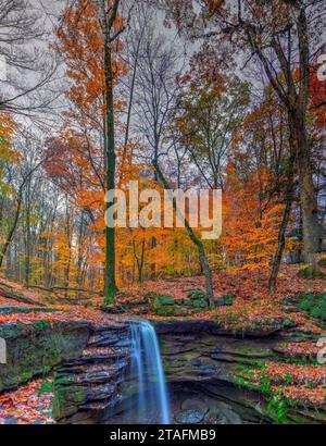 Blick auf die Dundee Falls im Herbst, Beach City Wilderness Area, Ohio Stockfoto