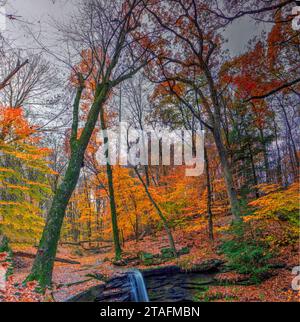 Blick auf die Dundee Falls im Herbst, Beach City Wilderness Area, Ohio Stockfoto