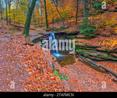 Blick auf die Dundee Falls im Herbst, Beach City Wilderness Area, Ohio Stockfoto