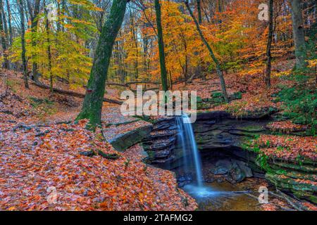 Blick auf die Dundee Falls im Herbst, Beach City Wilderness Area, Ohio Stockfoto