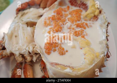 Gedämpfte Meereseierkrabbe mit Milch. Stockfoto