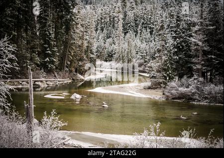 Der Soo River in Western British Columbia, nahe Whistler BC, fließt durch Winterwälder, die von Eis und Schnee verkrustet sind. Stockfoto