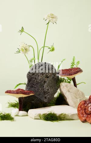 Die Vorderseite der Steine ist mit Lingzhi-Pilzen, wilden Blumen und grünem Moos auf weißem Hintergrund verziert. Der Lingzhi-Pilz hat das wissenschaftliche na Stockfoto