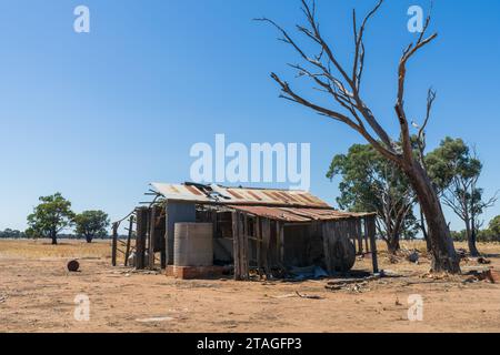 Ein heruntergekommener Bauernhof aus altem rostenden Wellblech und Pfosten auf einem Farmland im Campbells Forest in Central Victoria, Australien Stockfoto